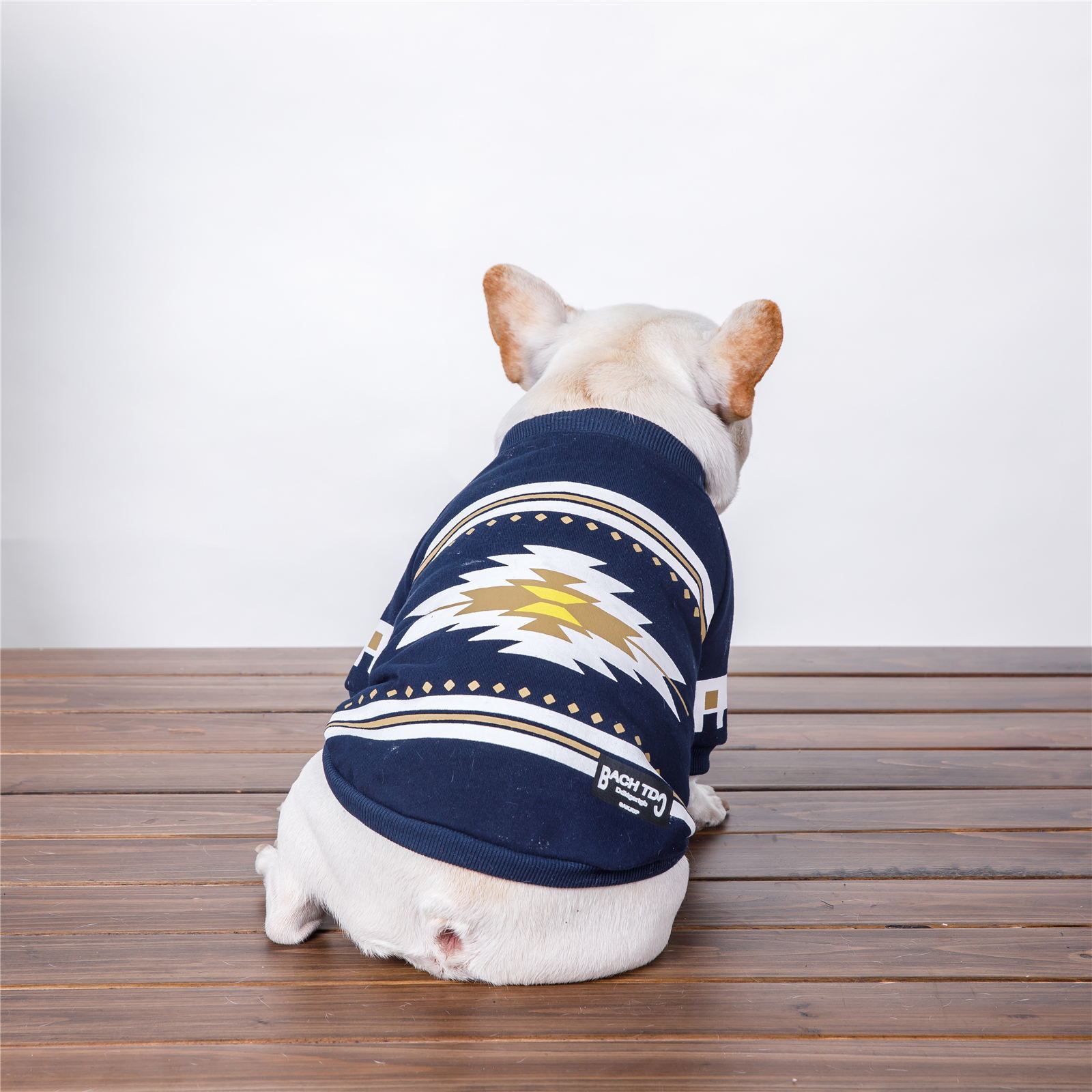 clothes for pets - Majestic Pet Kingdom