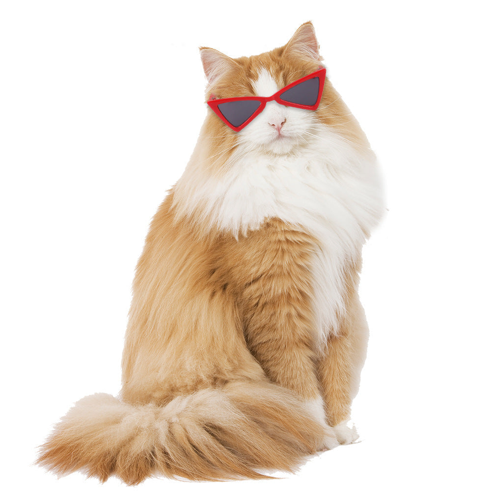 Luxury Pet Essentials - Purrfect Pet Kingdom™