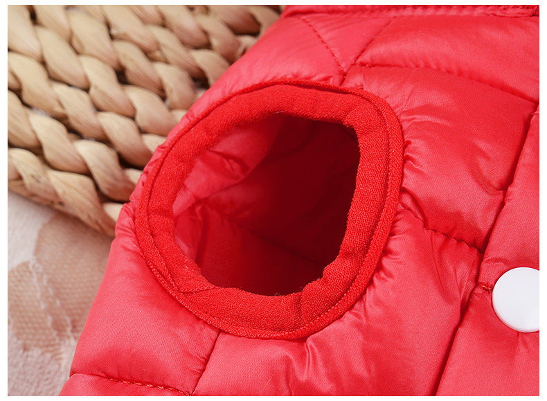 Small Dog Teddy Autumn Autumn Winter Cat Thermal Padded Coat - Majestic Pet Kingdom