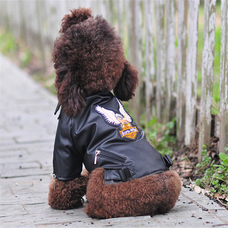 Pet Small Dog Sticker Embroidered Eagle Leather Jacket - Majestic Pet Kingdom