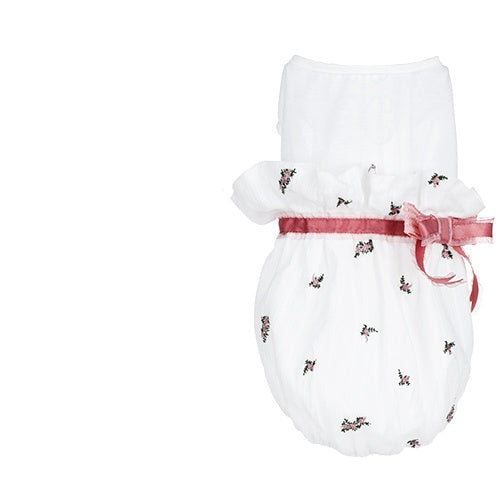 Pet cat clothes - Majestic Pet Kingdom