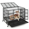48 Inch Foldable Heavy-Duty Metal Dog Cage with Lockable Rolling Casters and Tray - Majestic Pet Kingdom