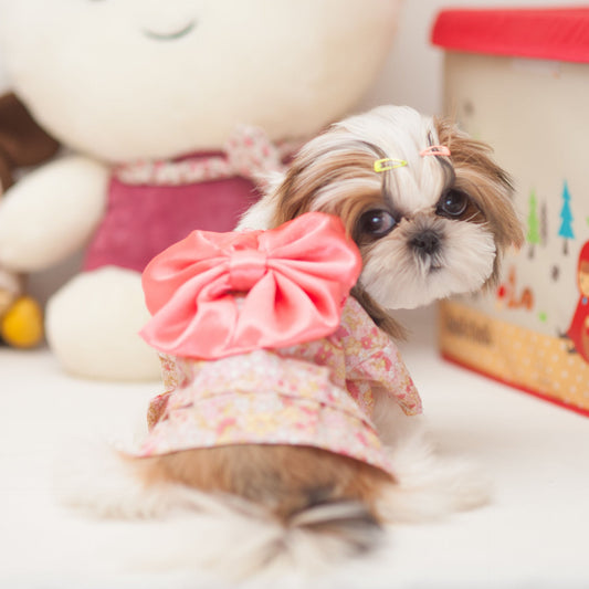 Pet dog kimono dog clothes pet spring and summer clothes - Majestic Pet Kingdom