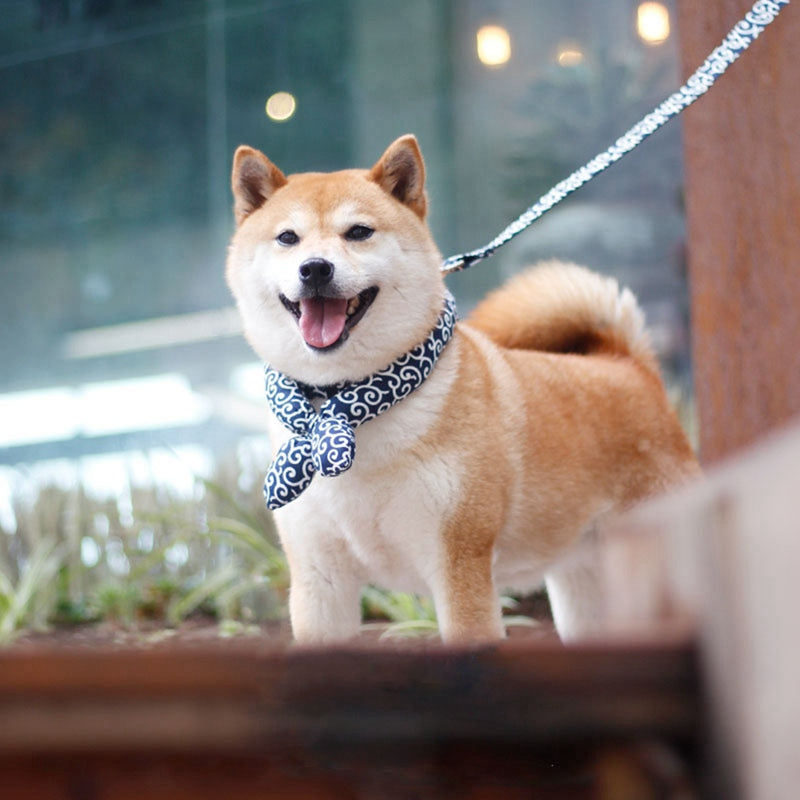 Luxury Pet Essentials - Purrfect Pet Kingdom™