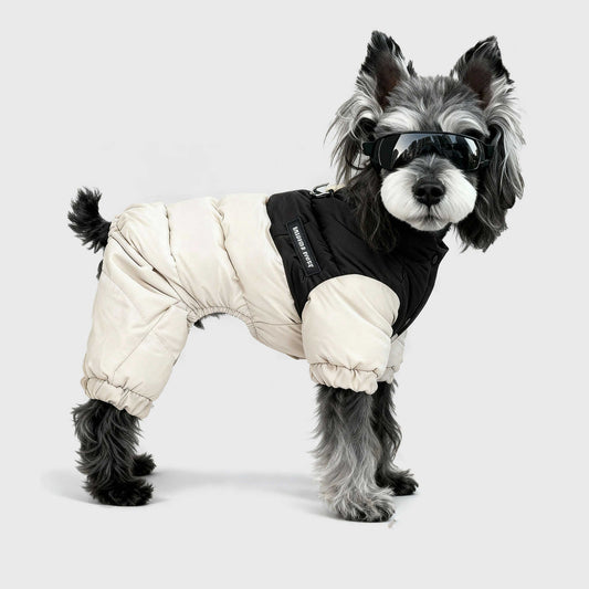 Warm Four-legged Cotton In Autumn And Winter - Premium Pet Accessory