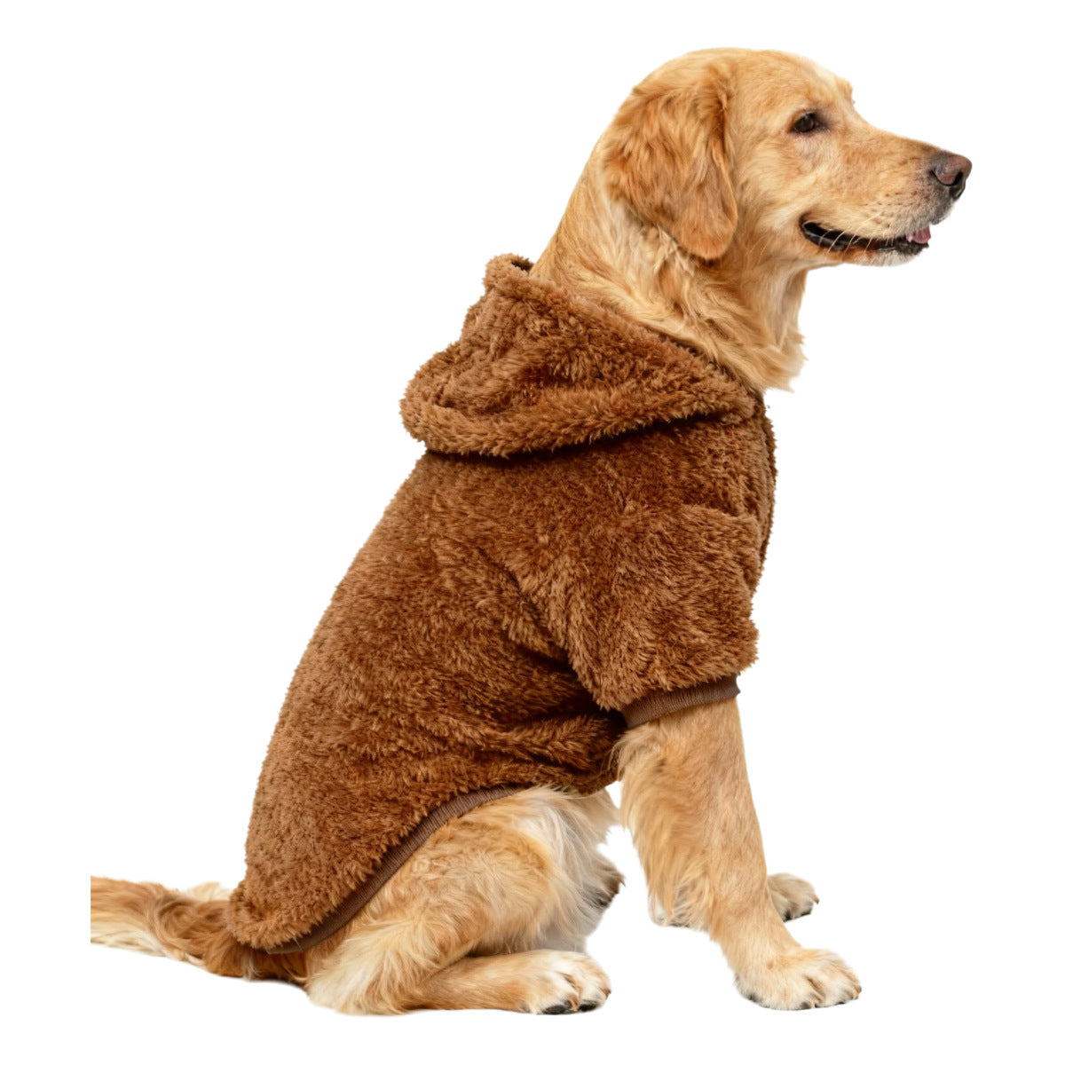 Pet Product - Premium Pet Accessory