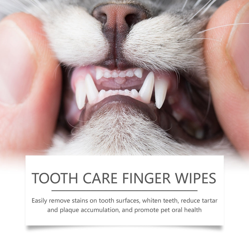 Pet Dental Wipes: Tartar & Oral Care Finger Wipes