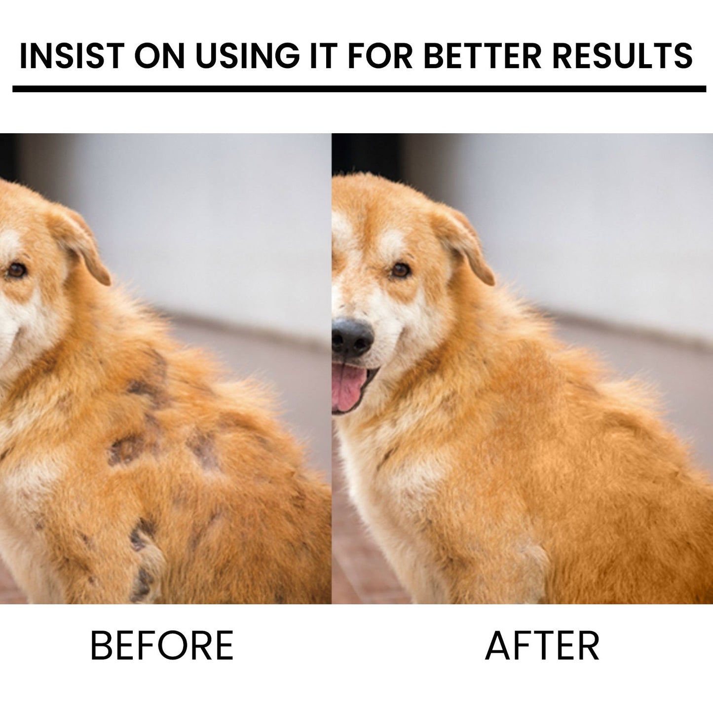 Pet Coat Growth Spray Follicle Repair Anti-Shedding Mist 4oz - Detail Angle 4 | Majestic Pet Kingdom