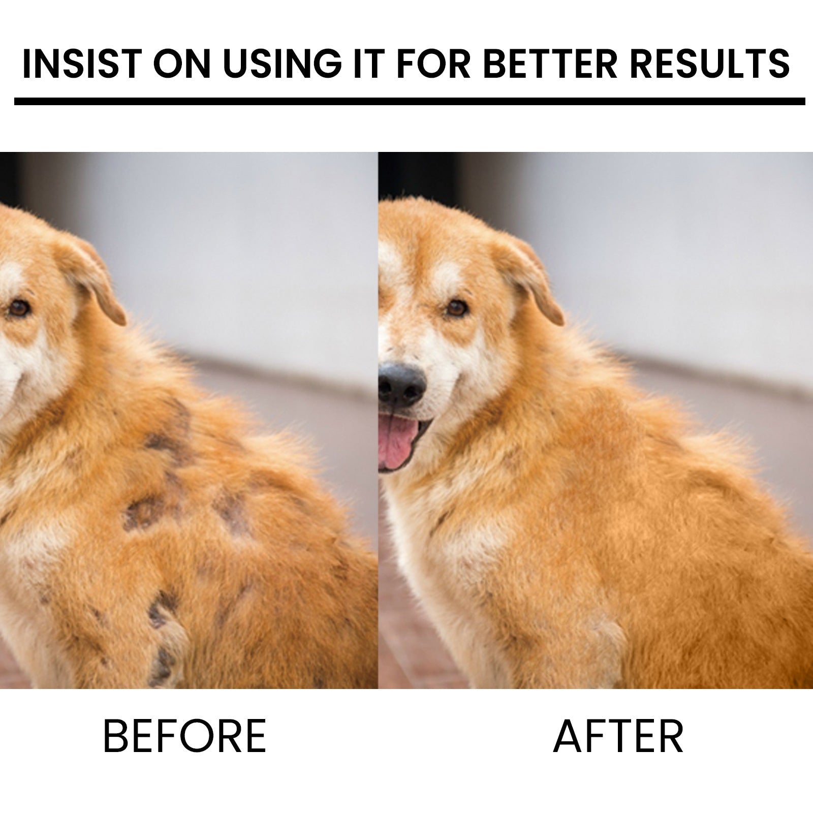Pet Coat Growth Spray Follicle Repair Anti-Shedding Mist 4oz - Detail Angle 4 | Majestic Pet Kingdom