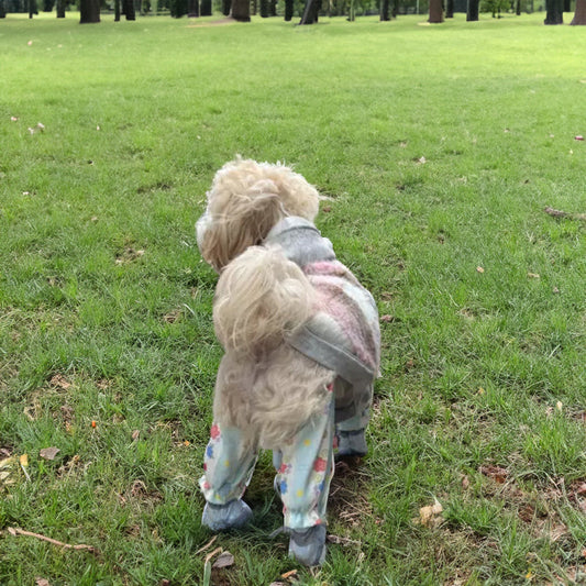 pet-stroller,-dustproof-pants,-summer-jumpsuit,-leg-luxury-view-1 | Majestic Pet Kingdom
