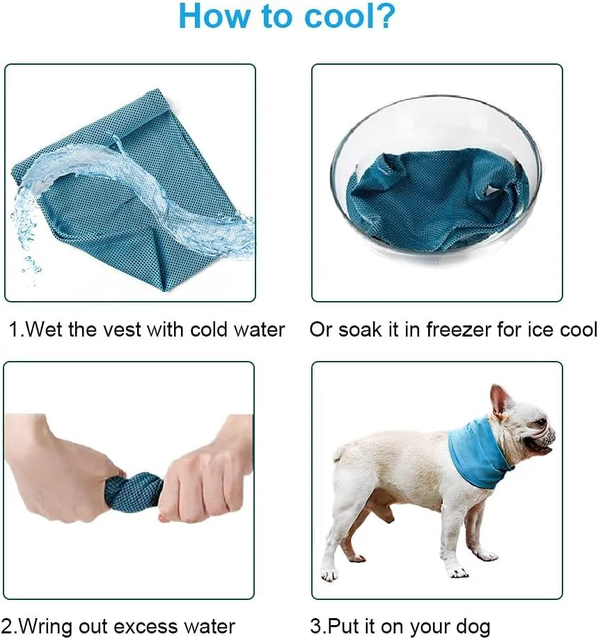 Dog Cooling Bandana: Ice Pet Collar for Hiking & Travel