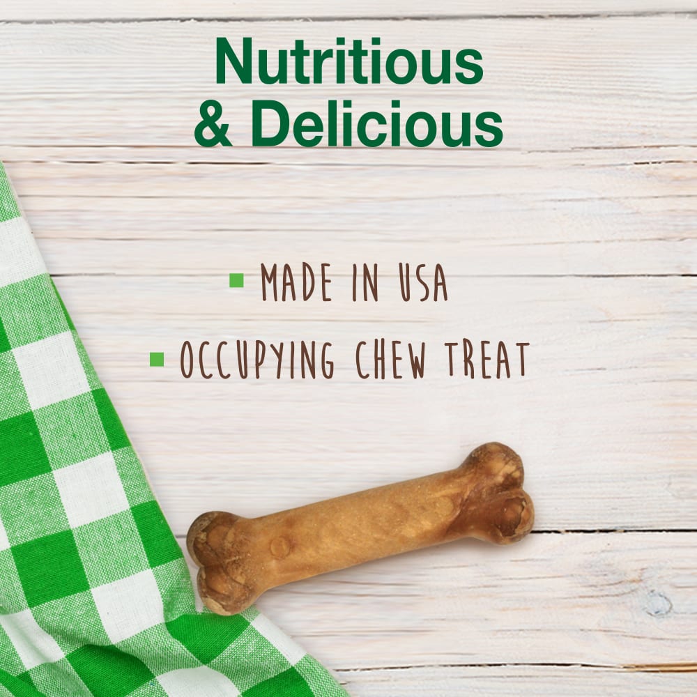 Dog Chews Nylabone Healthy Edibles Roast Beef Chews 3-Pack - Detail Angle 2 | Majestic Pet Kingdom