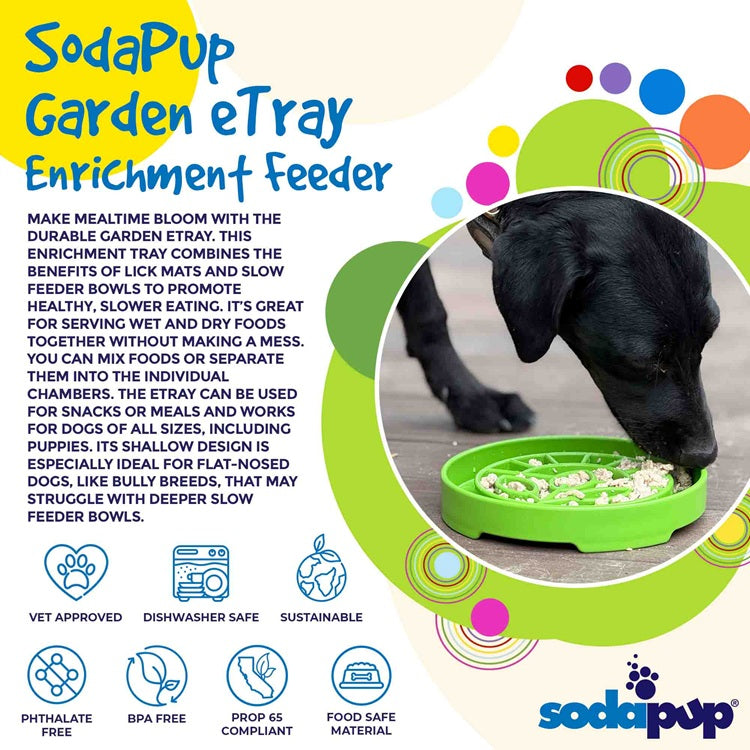 Dog Bowl Garden Design eTray Shallow Slow Feeder Feeding Dish - Detail Angle 3 | Majestic Pet Kingdom