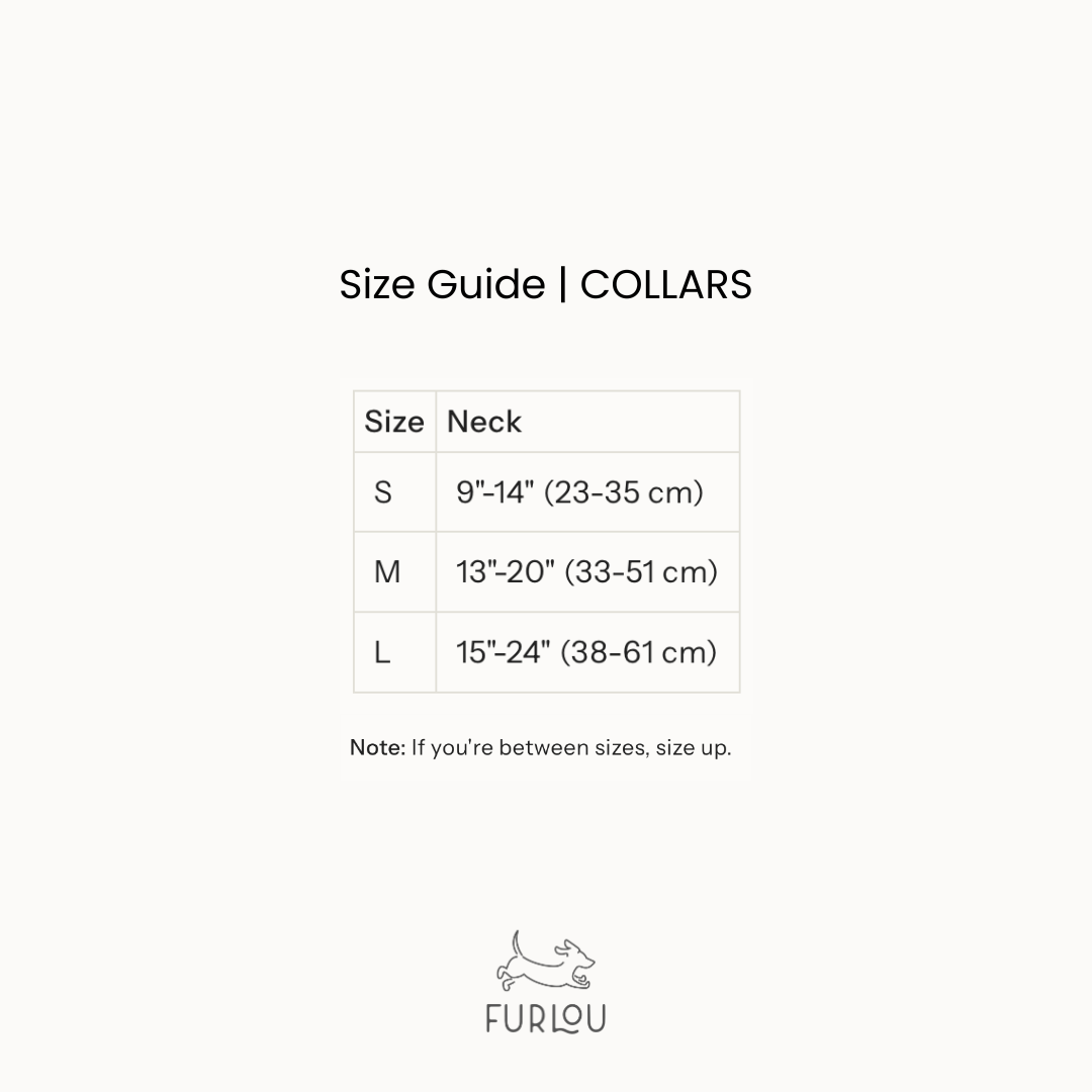 'Tan' - Canvas Dog Collar | Purrfect Pet Kingdom