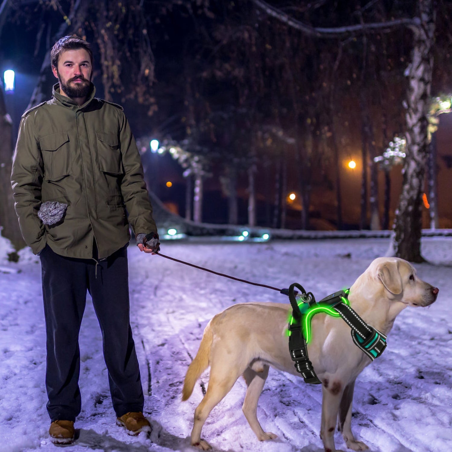 GBruno Light Up Dog Harness | Purrfect Pet Kingdom