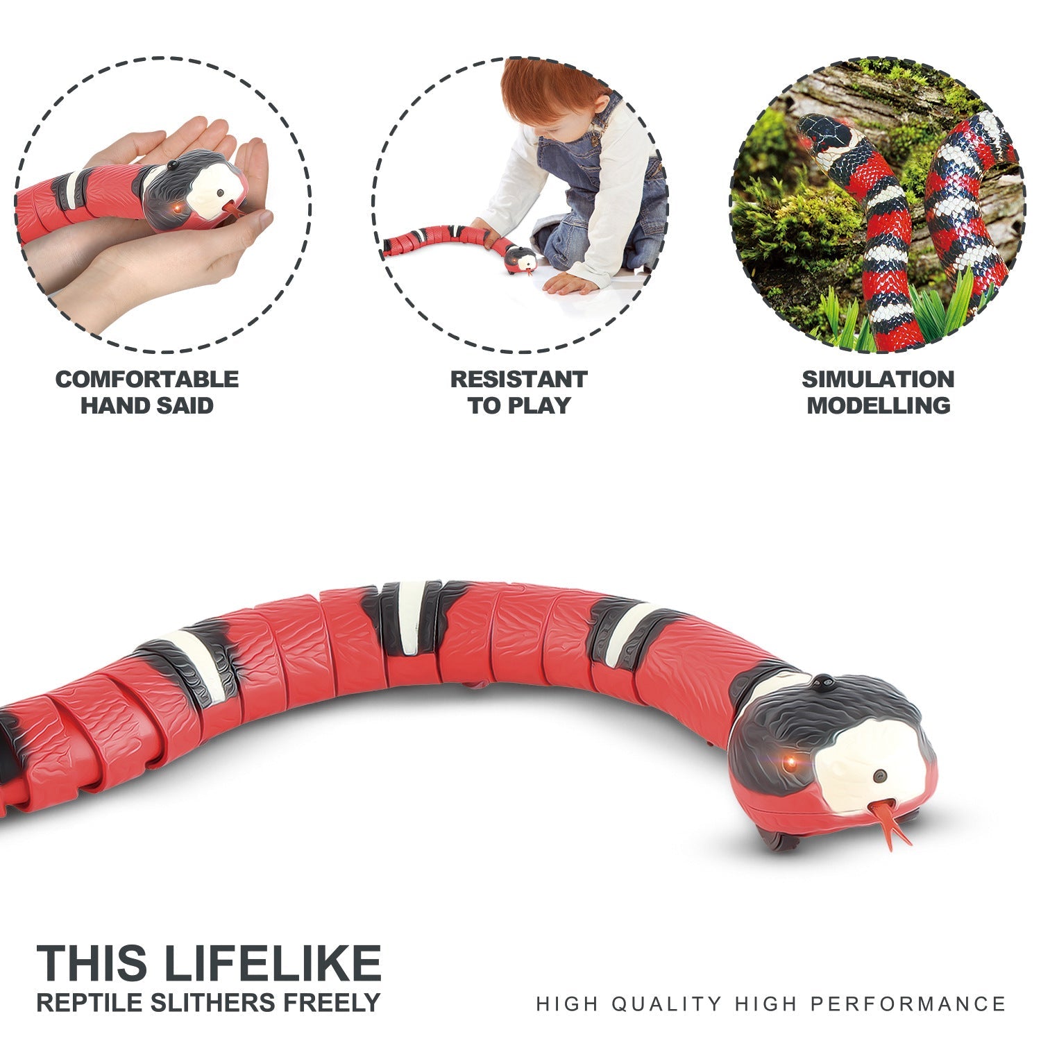 Luxury Pet Essentials - Purrfect Pet Kingdom™