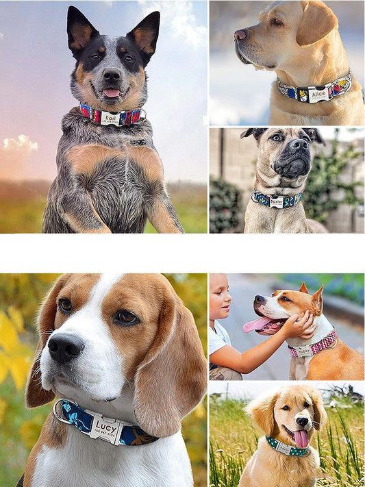 Pet Collar Lettering Large Dog Pet Dog Neck | Purrfect Pet Kingdom