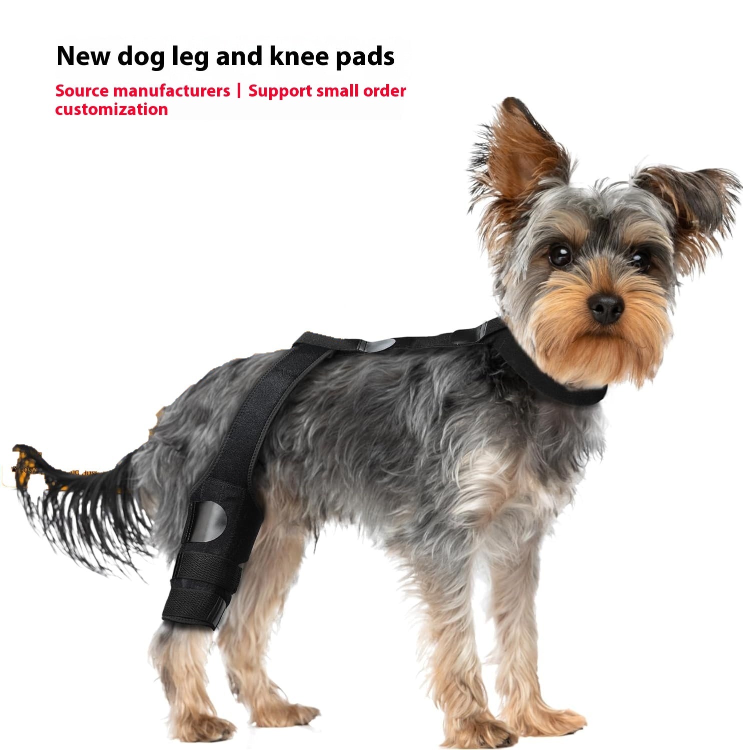 Dog Hind Leg Knee Brace Assist Strap