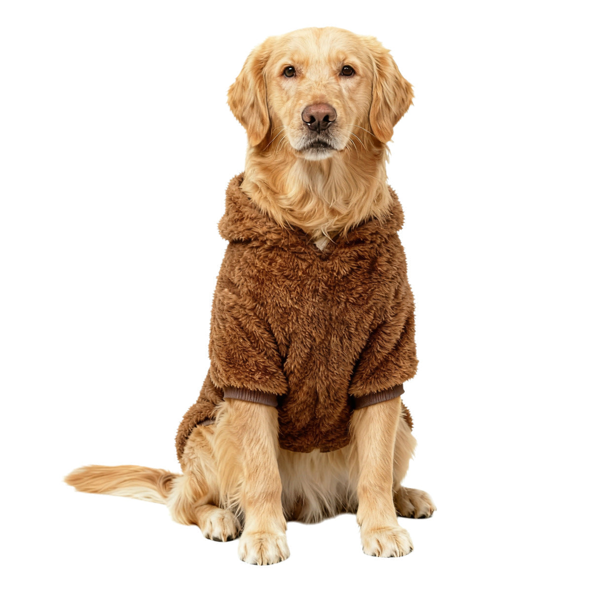 Pet Product - Premium Pet Accessory