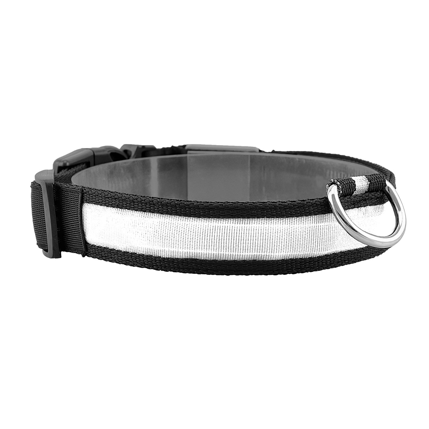GBruno LED Dog Collar USB | Purrfect Pet Kingdom