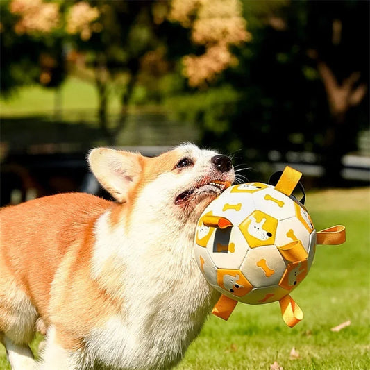 Interactive Training Soccer Ball Toy for Dogs