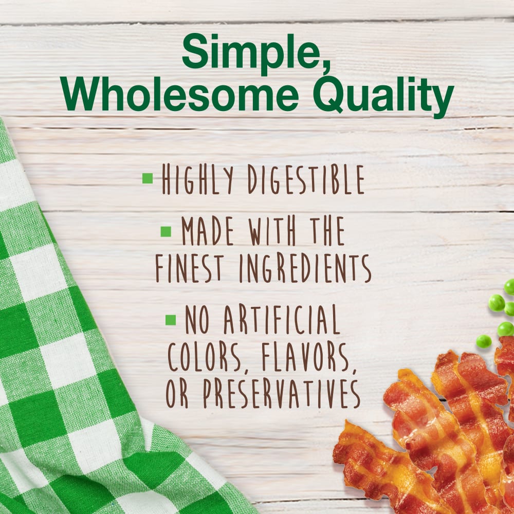 Dog Chews Nylabone Healthy Edibles Bacon Bone Treats 3-Pack