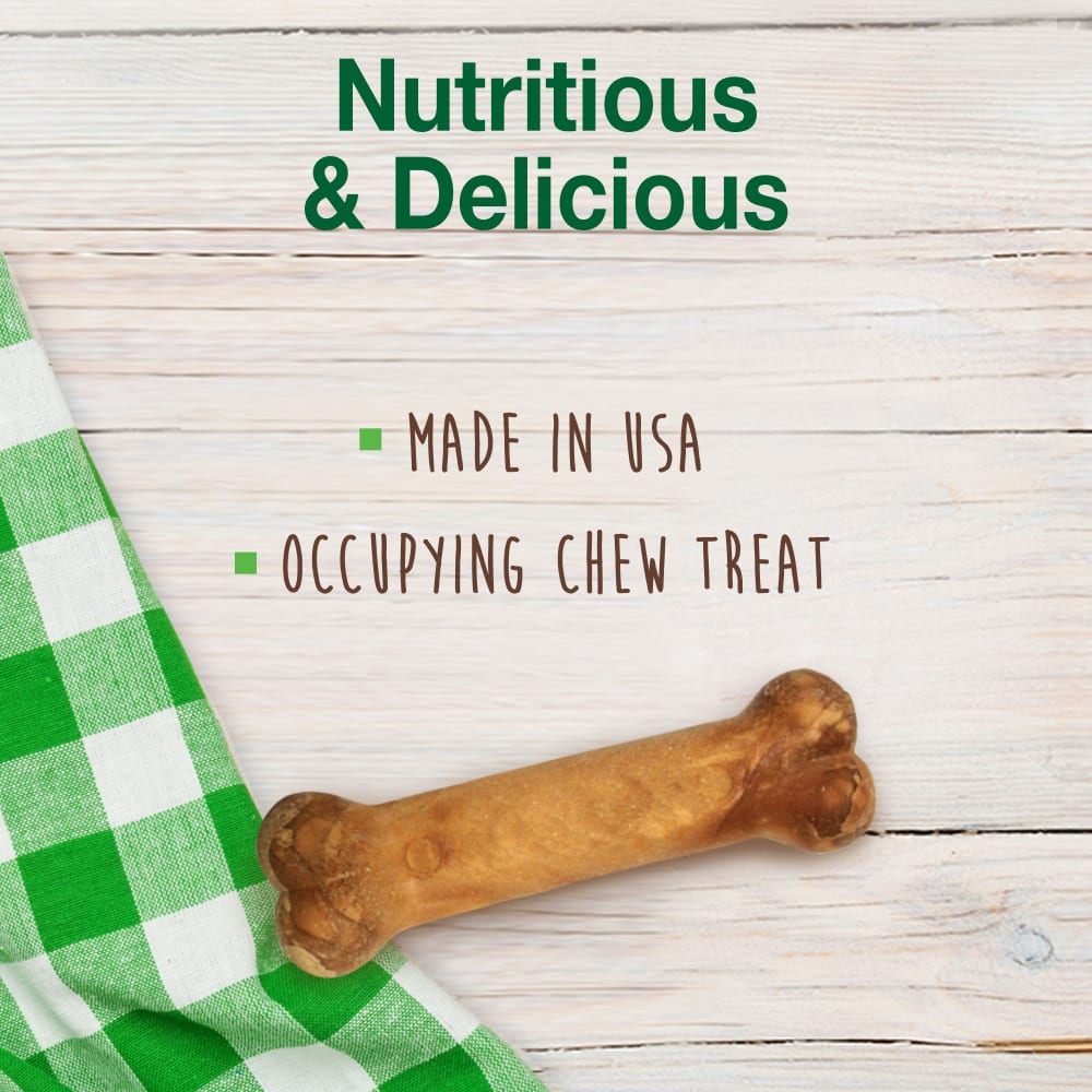 Dog Chews Nylabone Healthy Edibles Chicken Flavor Treats