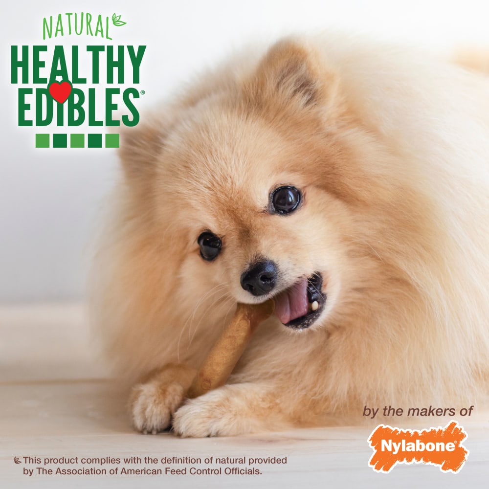 Dog Chews Nylabone Healthy Edibles Bacon Bone Treats 3-Pack