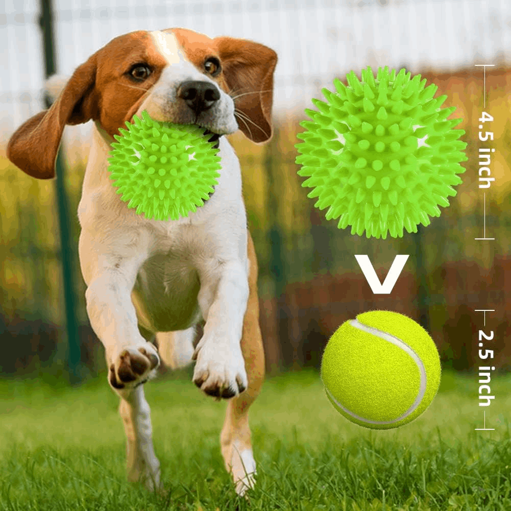 - The Finest Market