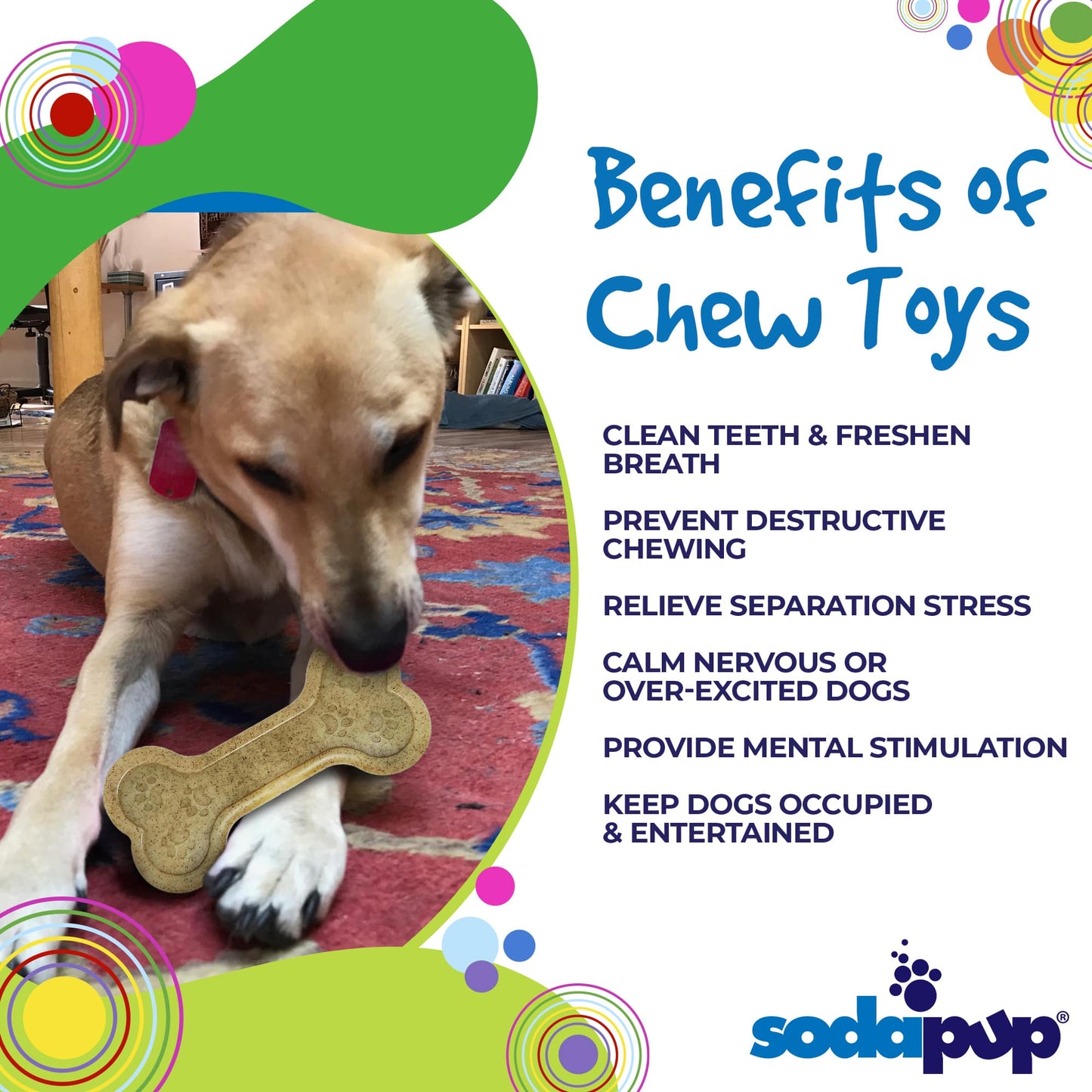Dog Chew Toy Bone eChew Ultra Durable Nylon Power Chewers