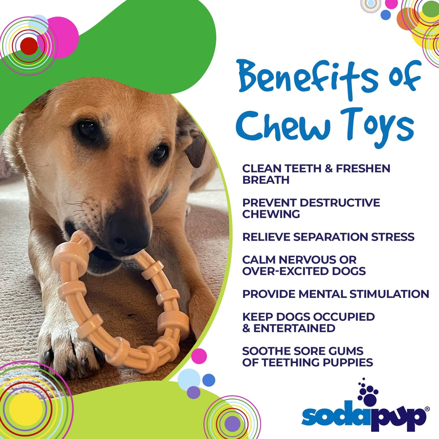 Dog Teething Ring Chicken Flavored Nylon Chew Toy USA Made