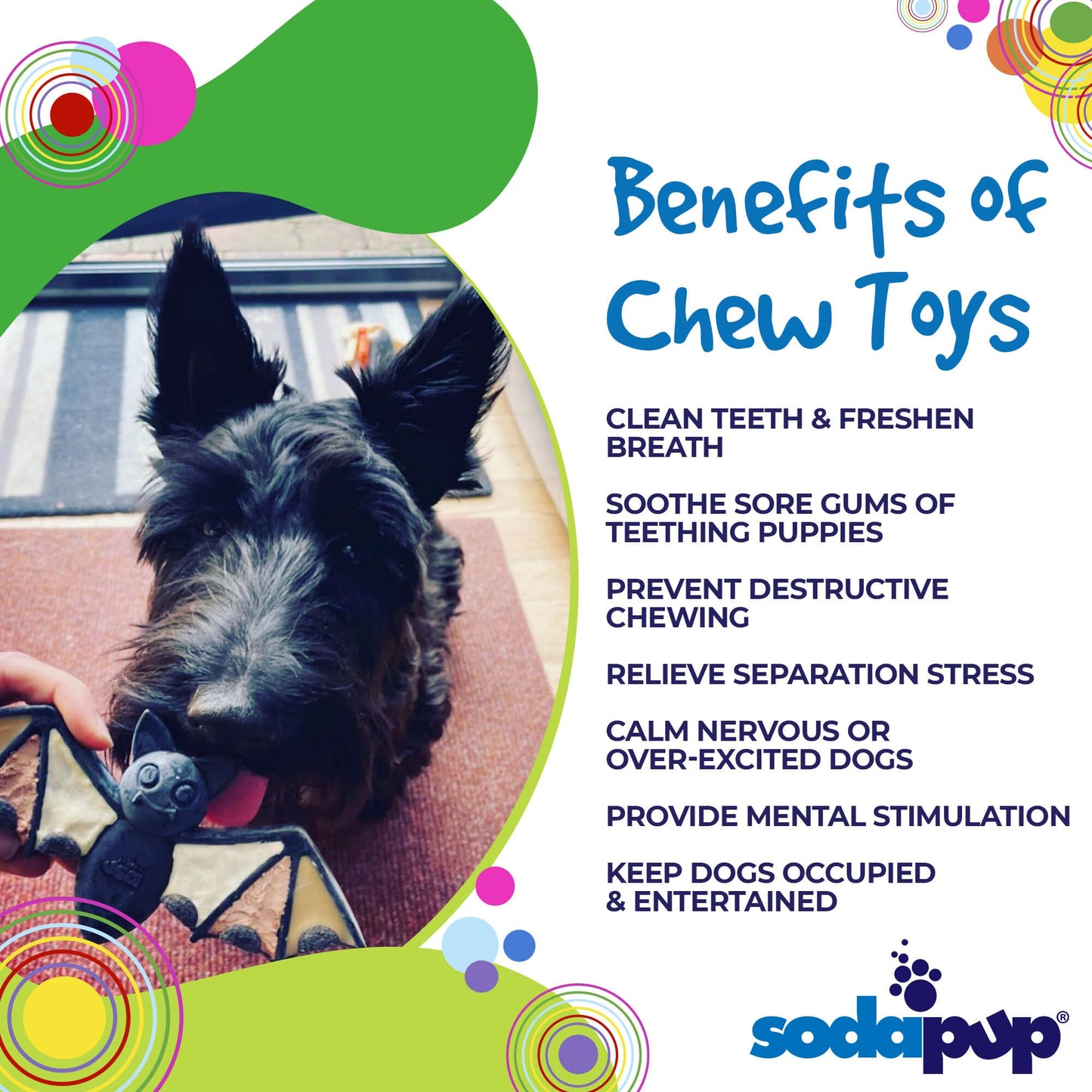 Dog Chew Toy Vampire Bat Nylon Aggressive Chewers USA Made - Detail Angle 3 | Majestic Pet Kingdom