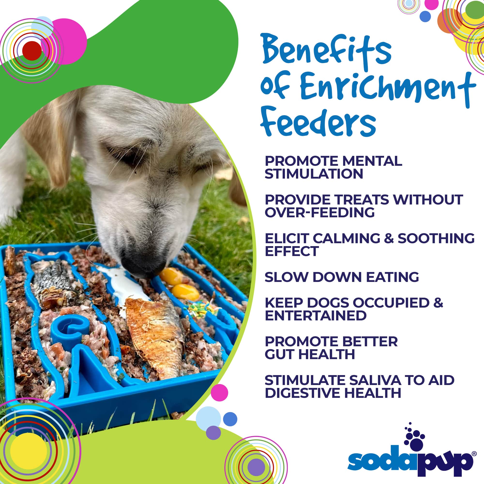Pet Supply Product | The Finest Market
