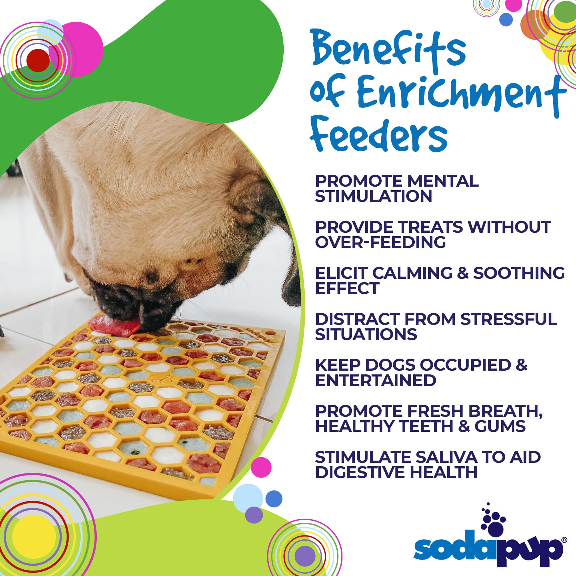 Pet Supply Product | The Finest Market