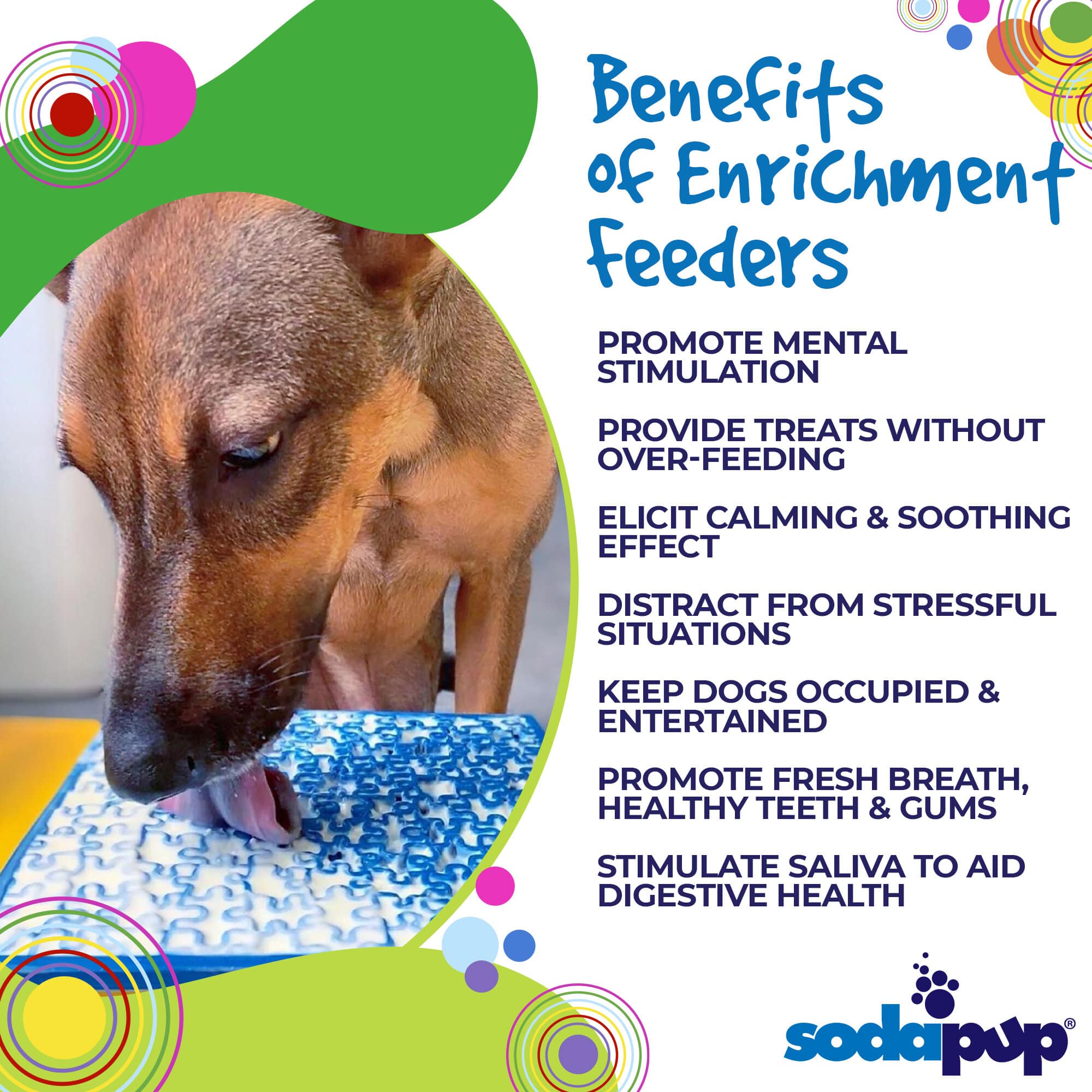 Pet Supply Product | The Finest Market