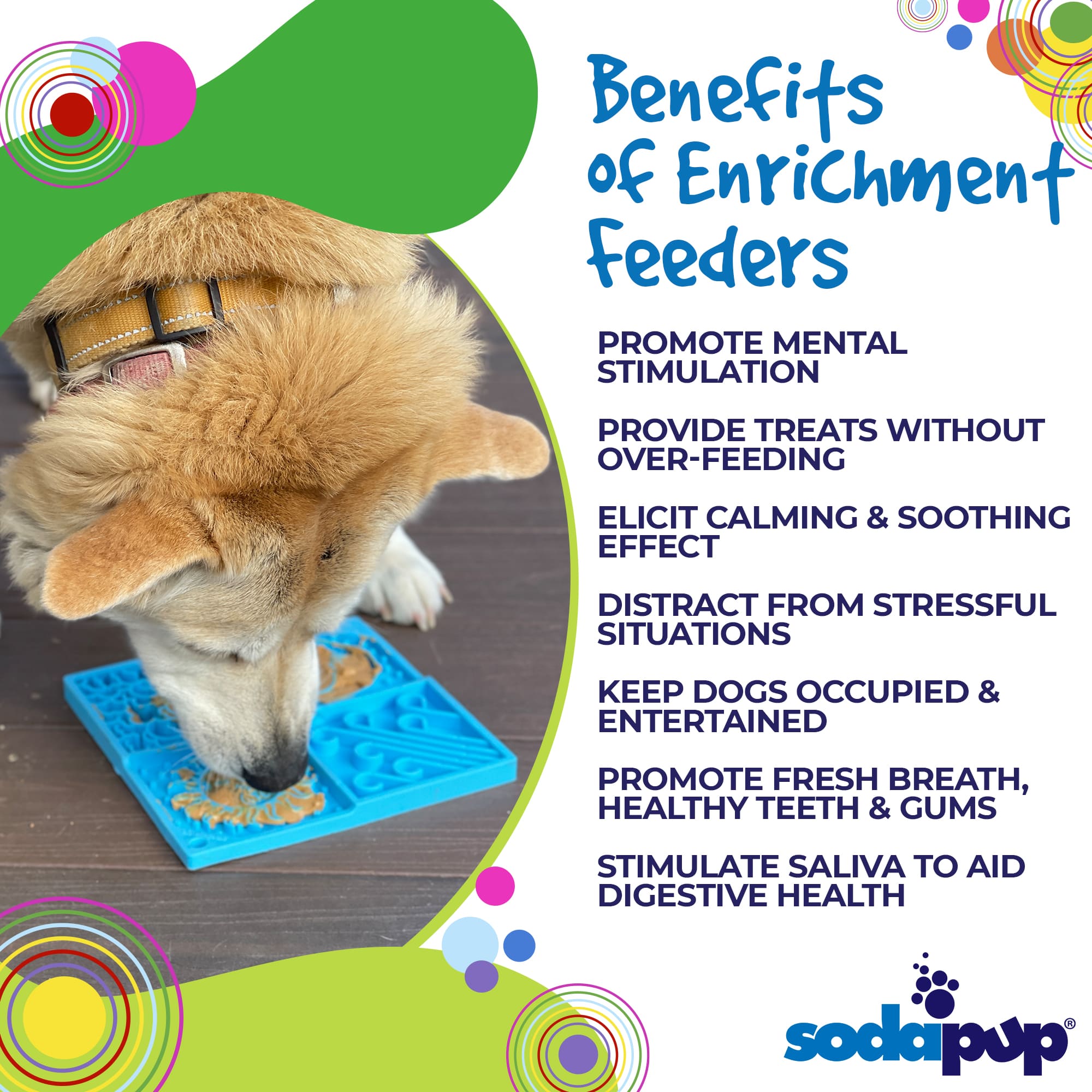 Pet Supply Product | The Finest Market