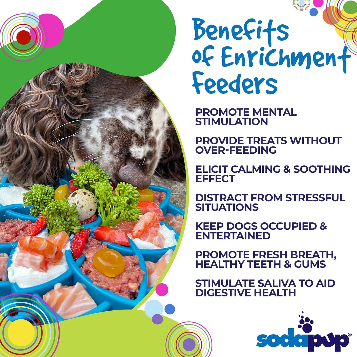Dog Bowl Mandala eTray Shallow Slow Feeder Enrichment Dish