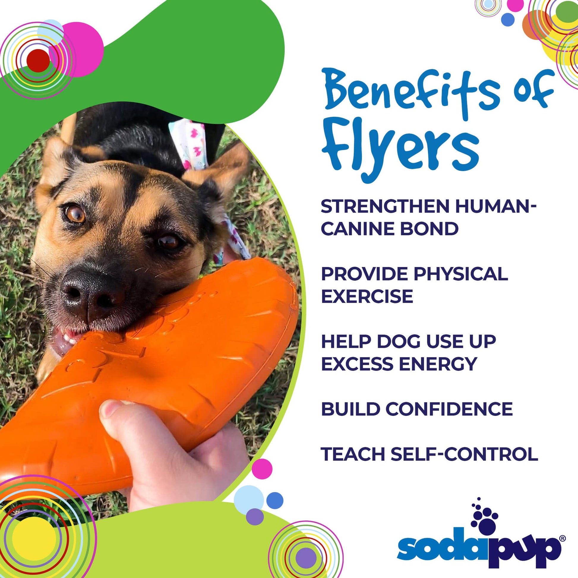 Pet Supply Product | The Finest Market