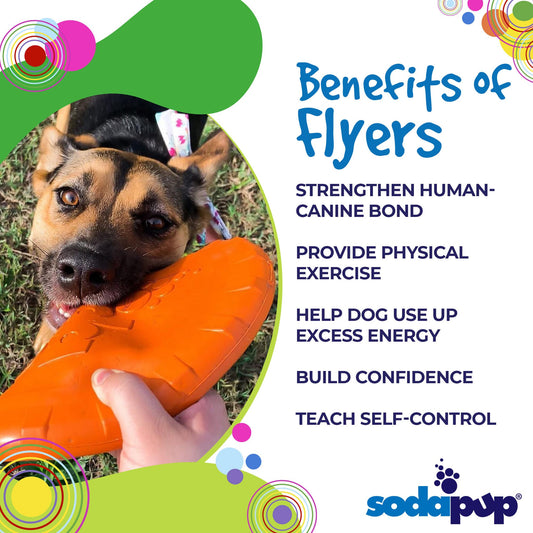 Pet Supply Product | The Finest Market