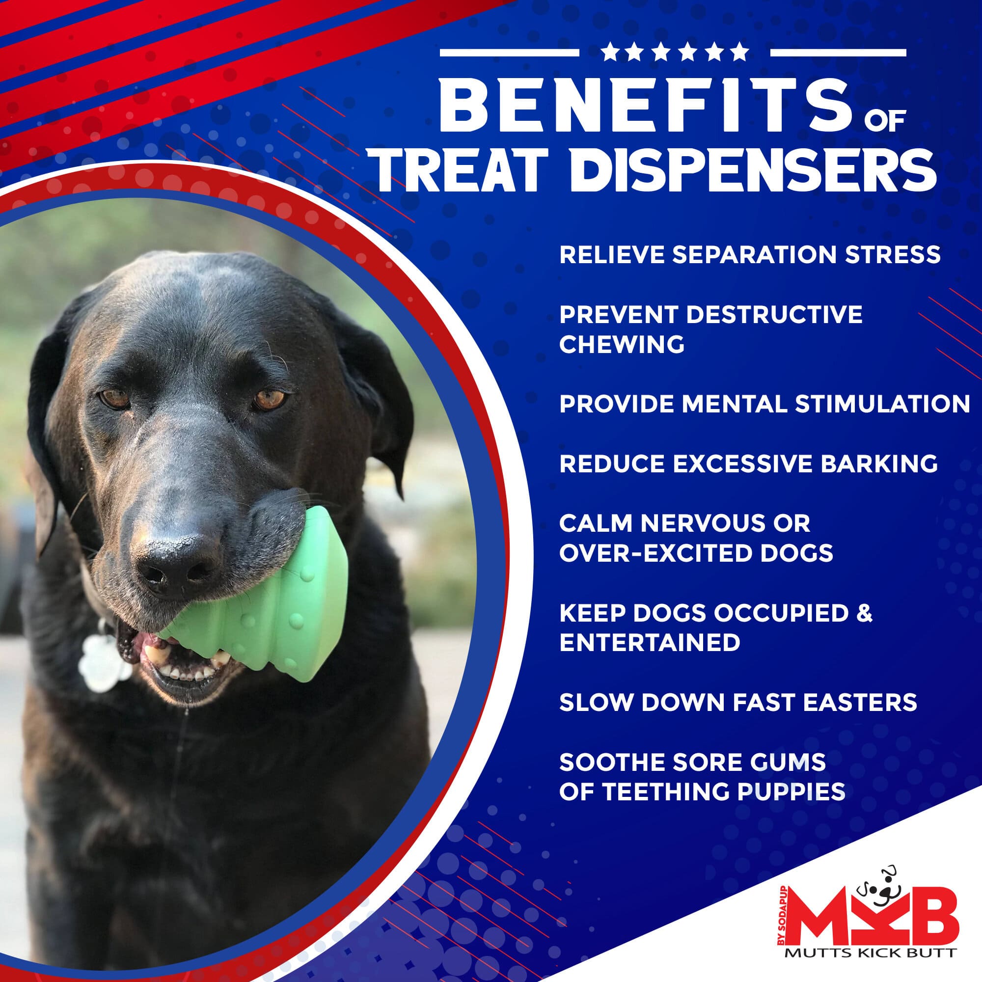 Pet Supply Product | The Finest Market