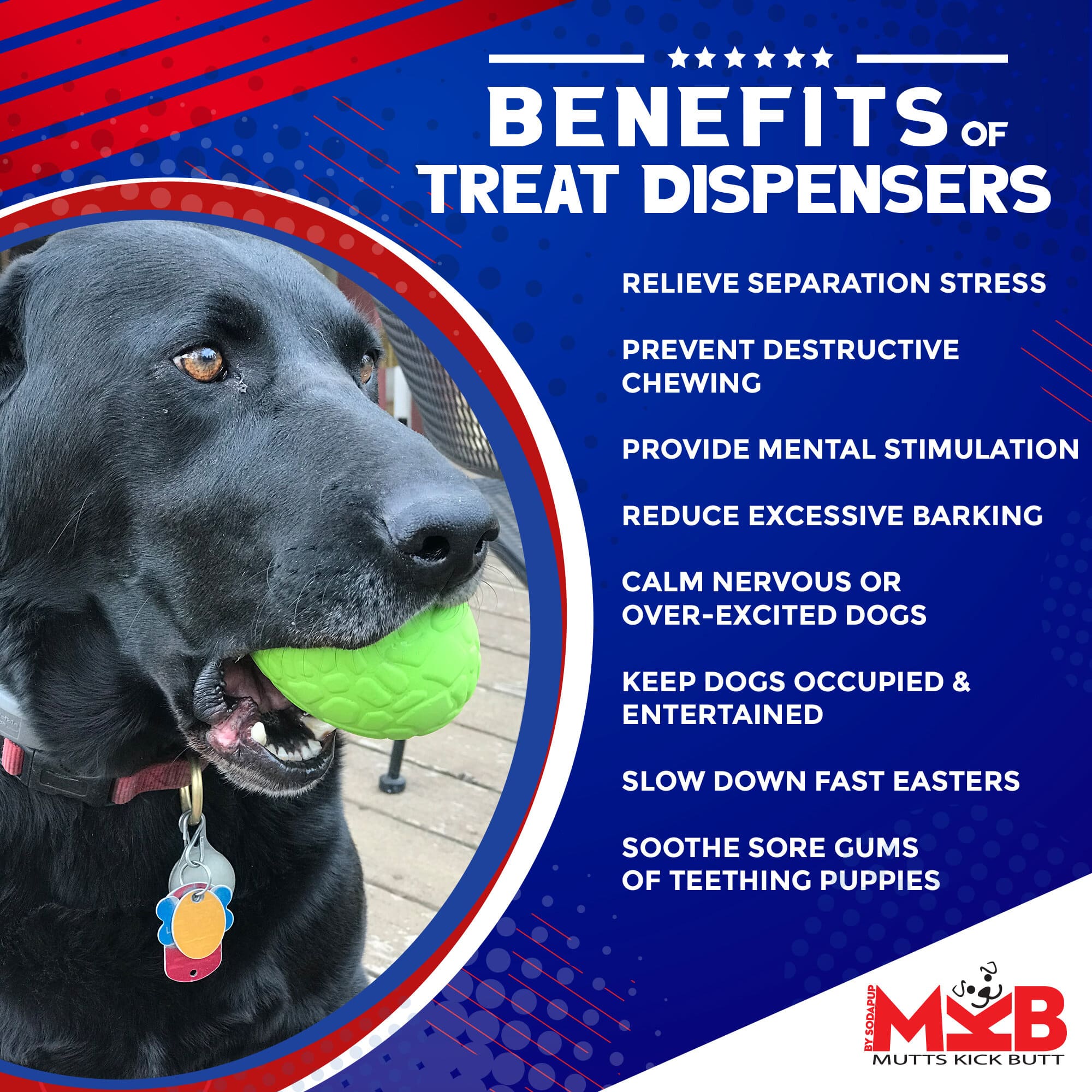 Pet Supply Product | The Finest Market