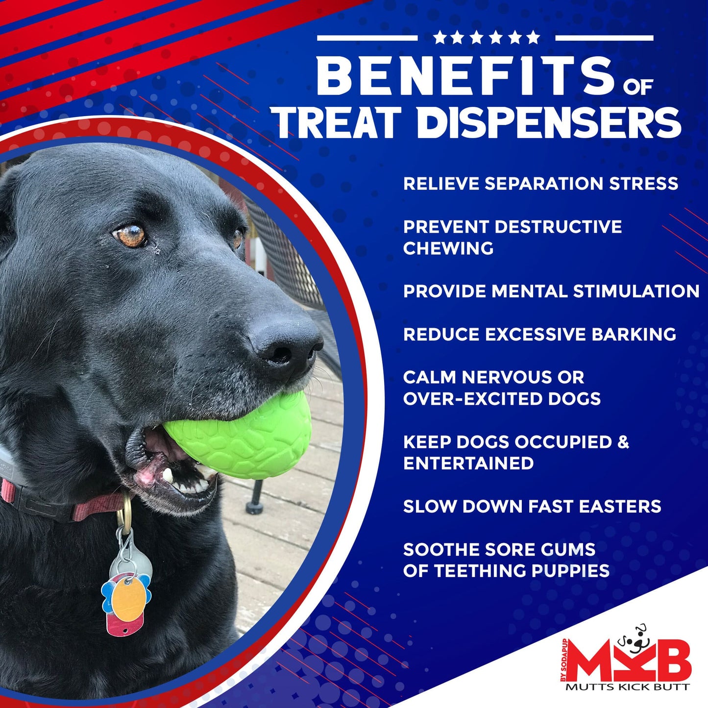 Dog Chew Toy K9 Skull Treat Dispenser Durable Rubber USA