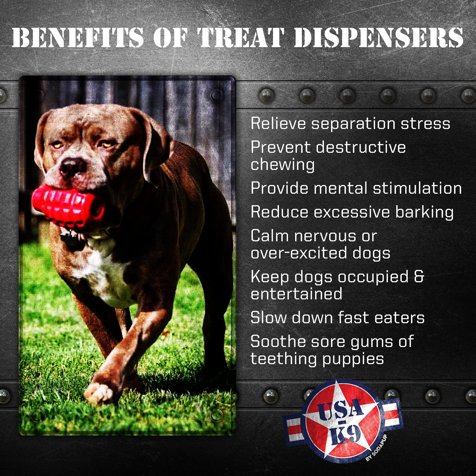 Pet Supply Product | The Finest Market