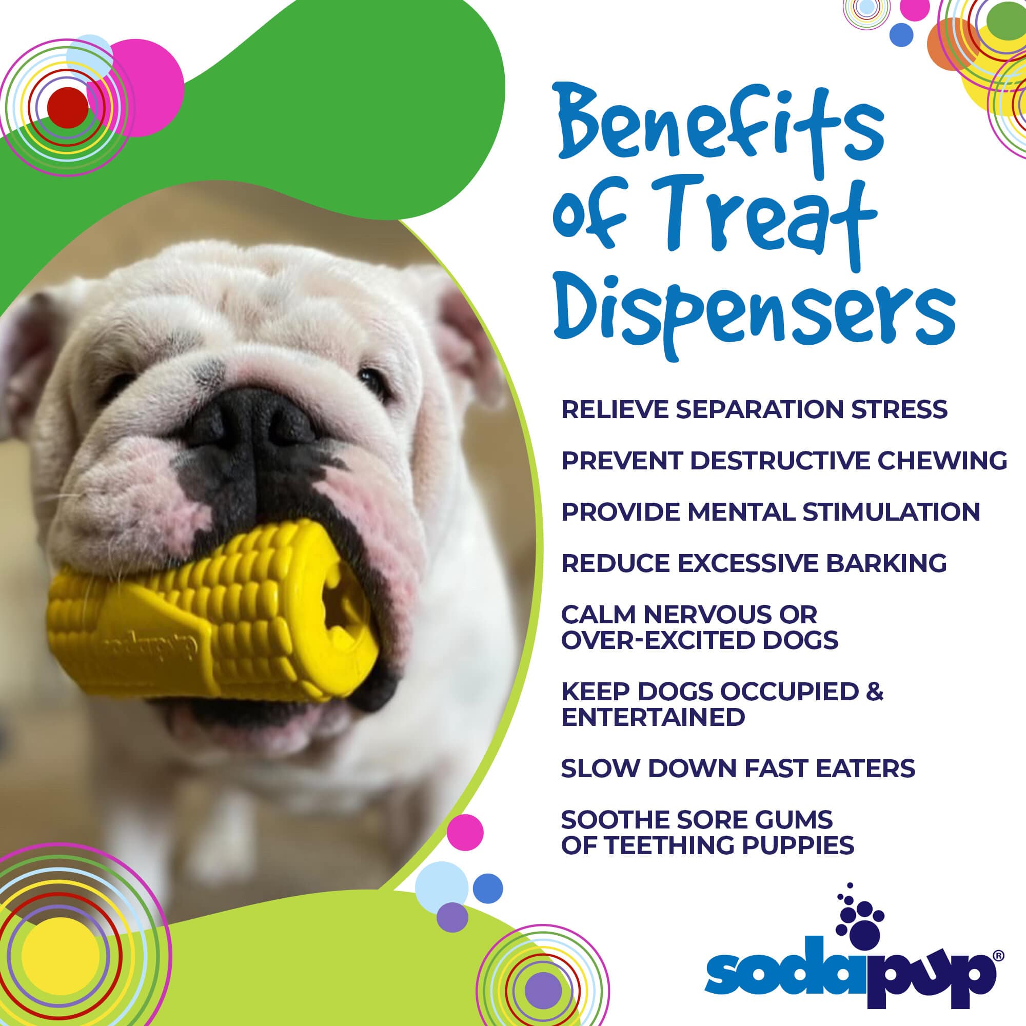Pet Supply Product | The Finest Market
