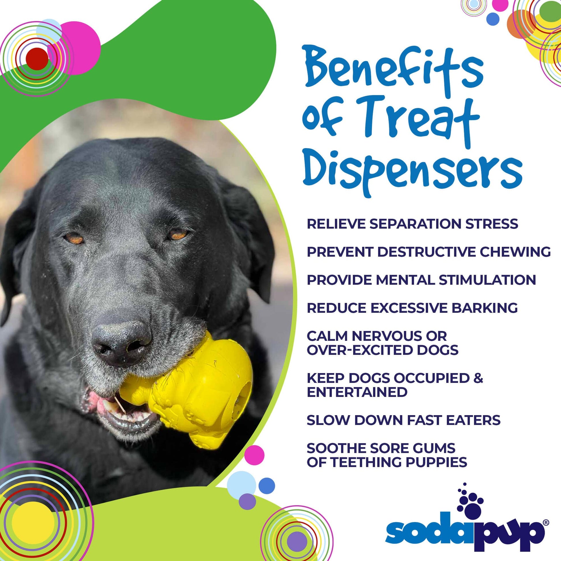 Dog Treat Dispenser Honey Bear Durable Rubber Interactive Toy - Detail Angle 3 | Majestic Pet Kingdom