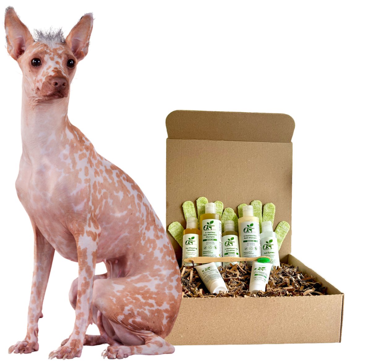 Dog Grooming Kit Complete Regular Skin Care for Hairless Pet