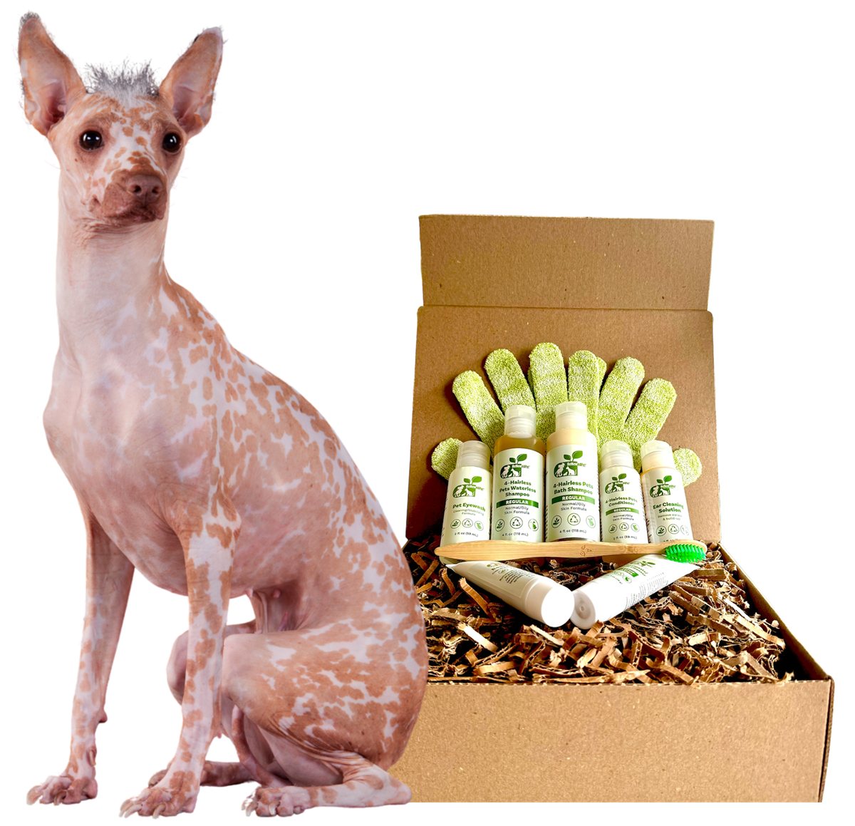 Dog Grooming Kit Complete Regular Skin Care for Hairless Pets - Detail Angle 2 | Majestic Pet Kingdom