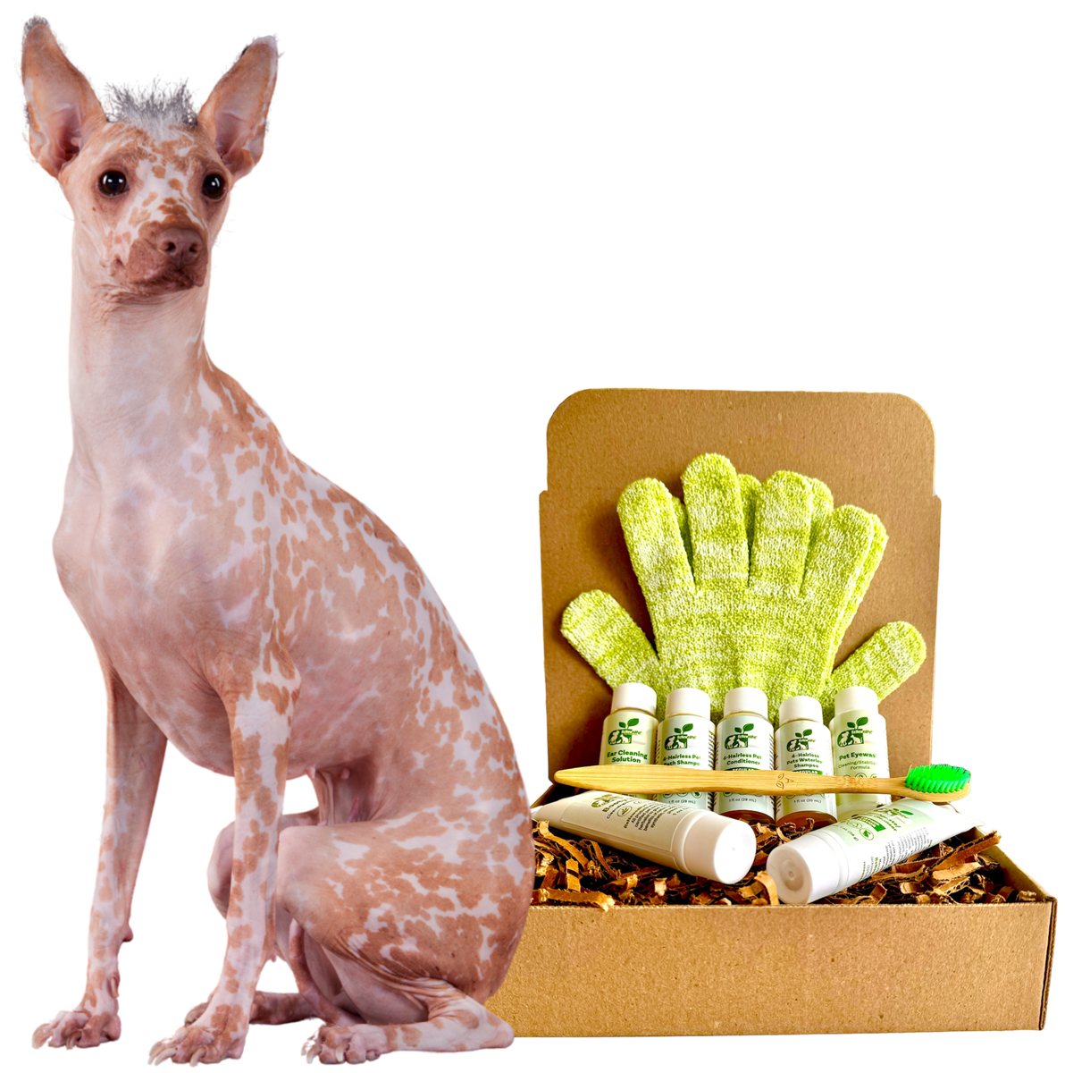 Dog Grooming Kit Complete Regular Skin Care for Hairless Pets - Detail Angle 3 | Majestic Pet Kingdom