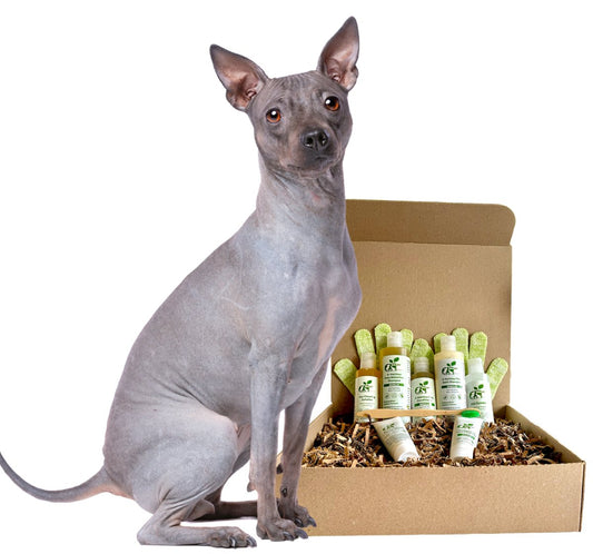 Dog Grooming Kit Restorative Skin Care Set for Hairless Breeds - Main Feature View | Majestic Pet Kingdom