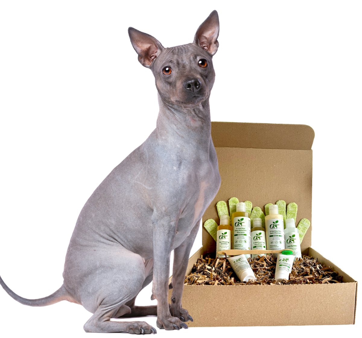 Dog Grooming Kit Complete Regular Skin Care for Hairless
